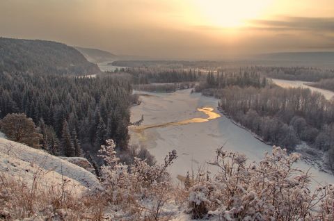 День Сибири