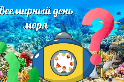 Море – дом акул, дельфинов и медуз