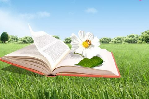 Лето – замечательная пора