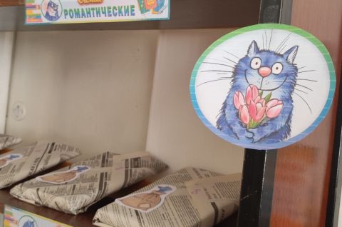 Книжный кот в мешке
