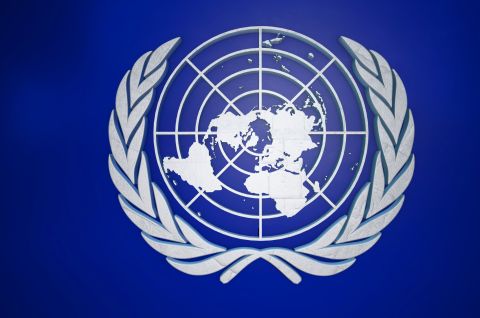 День рождения ООН