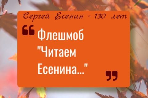 Флешмоб