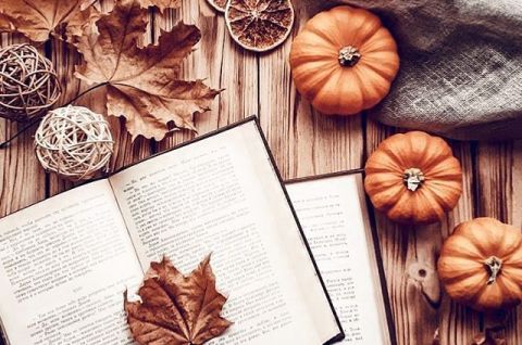 «Закружилась в книгах осень»