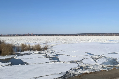 «Школа безопасности: весенний вызов»