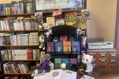 «Без кота и жизнь не та»