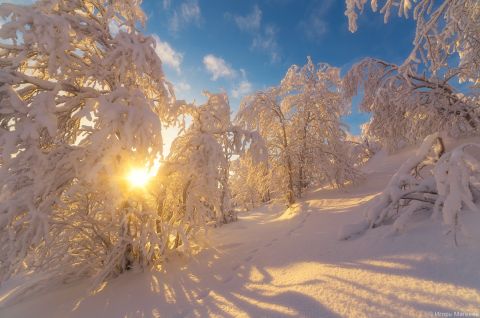 Мы мороза не боимся - мы к читателям стремимся!