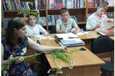 «Ромашковое настроение»